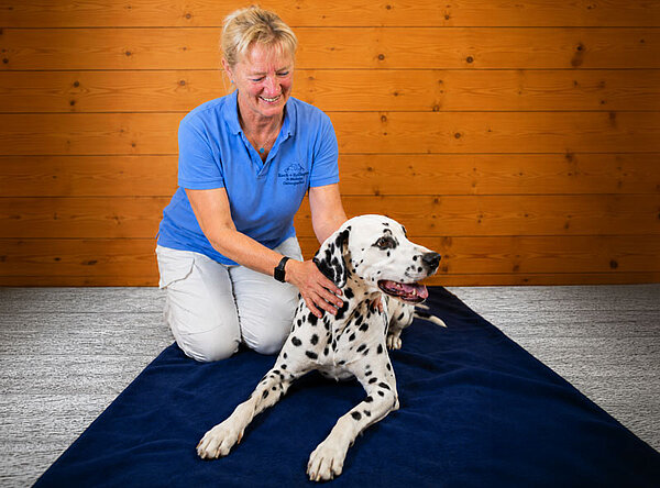 Gentle osteopathic treatment of a dog to support mobility.